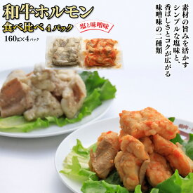 【ふるさと納税】和牛ホルモン （小腸）塩味・味噌味（160gx3パック）・塩と味噌味食べ比べパック（160gx4パック） 下処理済 焼くだけ簡単 岩手県 北上市 ヤマトフードサービス