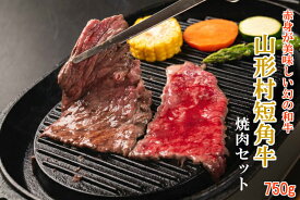 【ふるさと納税】★最短7日以内発送！発送月も選べる！【山形村短角牛「上カルビ」「赤身手切りカルビ」「バラスライス」「赤身スライス」4種セット】