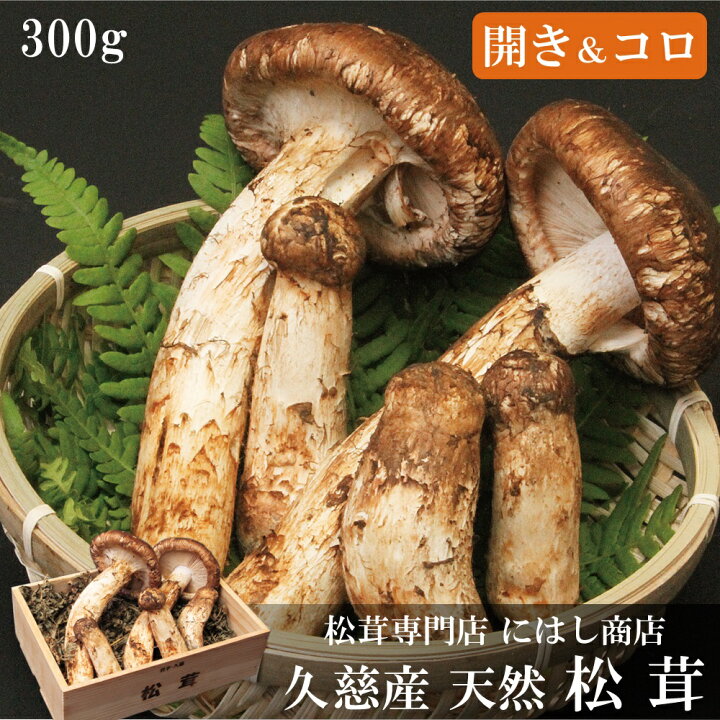 楽天市場】【ふるさと納税】【季節限定】久慈産天然松茸「開き 