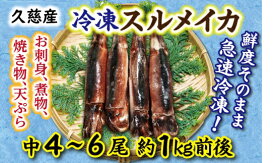 【ふるさと納税】【久慈港水揚げ】冷凍スルメイカ中4～6本（約1kg前後）