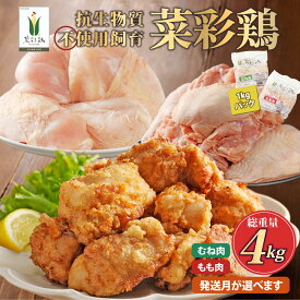【ふるさと納税】《発送月が選べる！》岩手県産 「菜彩鶏」 もも肉、むね肉4kgセット（各1kg×2袋 計4kg）国産 鶏肉 ブランド 鶏 もも むね カットなし 選べる 発送月 冷凍 大容量 業務用 チキン 1.0kg入 計 4.0kg 若鶏 送料無料