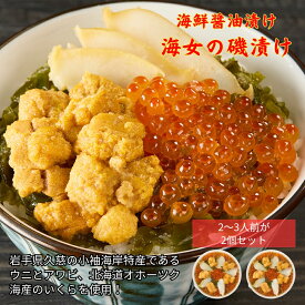 【ふるさと納税】海女の磯漬け 250g×2箱セット」海鮮 醤油漬け 海の幸 丼の具 うに あわび めかぶ いくら ミックス ギフト 個包装 詰め合わせ 時短 おかず ごはん お茶漬け 冷凍 長期保存 人気 ランキング おいしい おつまみ
