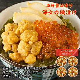 【ふるさと納税】「海女の磯漬け 250g×4箱セット」海鮮 醤油漬け 海の幸 丼の具 うに あわび めかぶ いくら ミックス ギフト 個包装 詰め合わせ 時短 おかず ごはん お茶漬け 冷凍 長期保存 人気 ランキング おいしい おつまみ