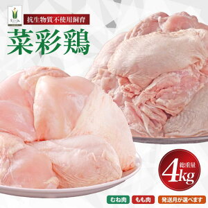 yӂ邳Ɣ[ŁzsIׂIt茧Y u؍ʌ{v Aނ˓4kgZbgie1kg×2 v4kgjY { uh {  ނ JbgȂ Iׂ  Ⓚ e Ɩp `L