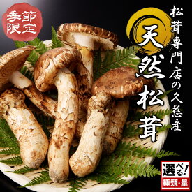 【ふるさと納税】種類・内容量が選べる！季節限定 「久慈産天然松茸」冷蔵 15種類 150g～1kg 訳あり ひらき ころ つぼみ おためし 選別 特選 厳選 おまかせ ミックス まざり 希少 きのこ 王様 松茸 産地直送 収穫次第即発送【にはし商店】