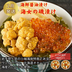 yӂ邳Ɣ[ŁzC̈Ђ 250g×2ZbgvCN ݖЂ C̍K ̋   ߂  ~bNX Mtg  lߍ킹 Z  ͂ Ђ Ⓚ ۑ l