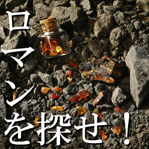 yӂ邳Ɣ[Łzy߂̍̌@̌IHzuߊʋlv̌@̌ʃZbg