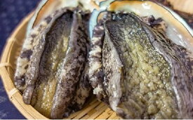 【ふるさと納税】＼内容量・冷蔵・冷凍が選べる！／【季節限定】【とれたて産地直送】三陸の荒波で育った「久慈産天然生あわび」300g～1.2kg（三陸 岩手 久慈産 鮑 アワビ 刺身 ステーキ おかず おつまみ 正月 海産物 魚介 海鮮 お歳暮 贈りもの 産地直送 天然）