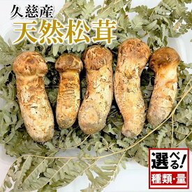 【ふるさと納税】＼種類・内容量が選べる！／季節限定 「久慈産天然松茸」冷蔵 100g～1kg 訳あり 規格外 ひらき ころ つぼみ おためし 選別 特選 おまかせ ミックス まざり 希少 きのこ 王様 松茸 産地直送 収穫次第即発送 【サンショップささき】
