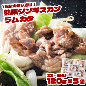 yӂ邳Ɣ[Łzt WMXJ  J^ 120g × 3 5 Zbg WMXJ c  ` n ^Ђ  r er J^  Ԑg Ⓚ 1lO  lC ē BBQ 