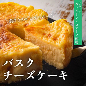 yӂ邳Ɣ[ŁzoXN`[YP[L yR[m`[YP[L z[ 12cm 300g Ⓚ 1 `[YP[L  Z r `[Y Y  gp XC[c fU[g P[L  a j