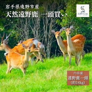 yӂ邳Ɣ[ŁzWrG  쎭 Iׂ 1 /  J^AAoA / WrG VJ  茧 s Ⓚ WrG̗ 古 | Ԑg J[   