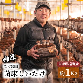 【ふるさと納税】しいたけ 1kg 遠野産 菌床 生 椎茸 きのこ 菌床 岩手県 遠野市 産 国産 出汁 だし 料理 肉厚 送料無料 産地直送 M サイズ 鍋 網焼き 肉厚 ジューシー 肉詰め BBQ バーベキュー 焼肉 ヘルシー 野菜 たっぷり 産直