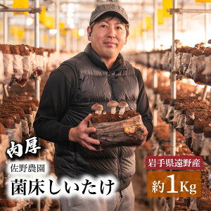 yӂ邳Ɣ[Łz 1kg Y / ۏ  ő VC^P ̂ ۏ k 茧 s Y Y o`     Yn M TCY  ԏĂ  W[V[ l BBQ 