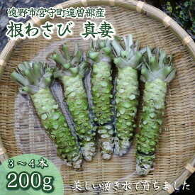 【ふるさと納税】わさび 真妻 200g （3〜4 本）葵食品 / 根わさび 山葵 本わさび wasabi 生産者直送 農家直送 生 新鮮 岩手県 遠野市 宮守町 達曽部 国産 寿司 刺身 お肉 ステーキ 薬味 わさび丼 そば などに おすすめ 香り お取り寄せ 送料無料 【東北一のわさびの産地】