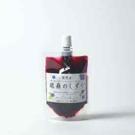 【ふるさと納税】ブルーベリー ジュース 果汁100% 砥森のしずく 100ml パック 720ml 瓶 選べる個数 岩手県 遠野市 遠野食工房蔵 砥森山ブルーベリー園 栽培期間中 農薬不使用 無農薬 果実 果物 くだもの フルーツ 飲料 無砂糖 健康 美容 視力 抗酸化 送料無料