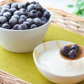 【ふるさと納税】ブルーベリー 冷凍 栽培期間中 農薬不使用 無農薬 大粒 500g 1kg 選べる 容量 大玉 は 1.5mm 以上 東北 岩手県 遠野市 遠野食工房蔵 砥森山ブルーベリー園 宮守町 産 果実 果物 くだもの フルーツ 飲料 健康 美容 視力 抗酸化 無選別 除草剤不使用 送料無料