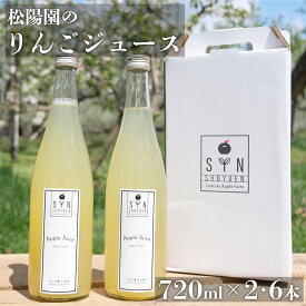 【ふるさと納税】りんごジュース 2本 6本 セット 720ml / 100% 東北 岩手県 遠野市 松陽園 りんご農家 松陽園 農家 産地 直送 ギフト プレゼント 母の日 贈答 お祝い クリスマス 贈答 箱 詰め合わせ 送料無料 リンゴ アップル 果汁飲料 林檎 朝食 無添加 健康