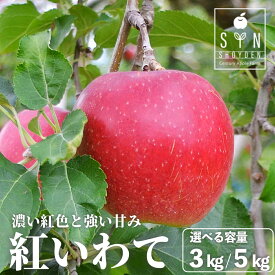 【ふるさと納税】先行予約 松陽園 樹上 完熟 りんご 紅いわて 3kg 7個〜9個 5kg 12個〜18個 選べる 重量 / 人気 赤い 林檎 リンゴ フルーツ apple 果物 果実 東北 岩手県 遠野市 産 贈答 ギフト プレゼント 農家直送 産地直送 送料無料 2026年 9月中旬頃より順次発送