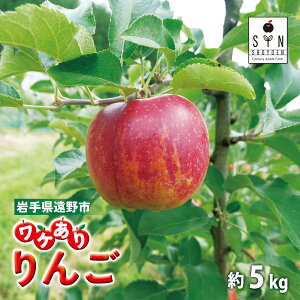 yӂ邳Ɣ[Łz󂠂 Iׂ e  2.3kg 3kg 5kg { i ܂ / 킯 P PA A ь S apple t[c z  n ʕ ʎ 茧 s Y 