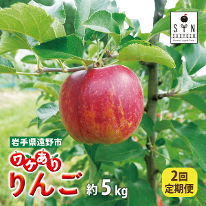 yӂ邳Ɣ[Łz󂠂  y 2  zIׂ e  2.3kg 3kg 5kg 11-12 킯 P { ь S apple Abv t[c z  n ʕ ʎ 茧 s Y