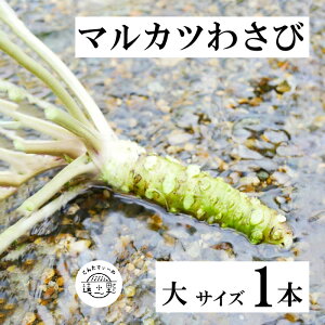 yӂ邳Ɣ[Łz킳  TCY 85gȏ 1{ }Jc 킳 ^ ߘa4N茧킳ѕi] ŗDG  茧 s {璬 B] X؏ Y VN   Tr R {