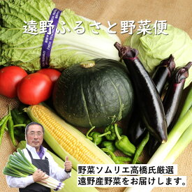 【ふるさと納税】遠野 ふるさと 野菜便 《 野菜ソムリエ 厳選 》/ 岩手県 遠野市 産 野菜 やさい セット 詰め合わせ 新鮮 直送 お楽しみ 旬 とれたて ふるさと ベジタブル 仕送りキャンプ アウトドア バーベキュー BBQ 料理 栄養 家庭 健康 農家 お取り寄せ 送料無料