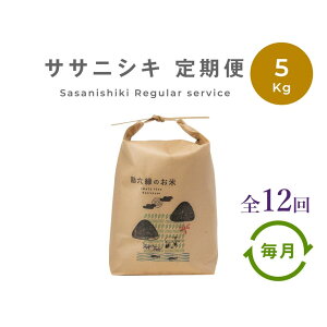 yӂ邳Ɣ[ŁzTTjVL  3kg 5kg 엿 _   Iׂ e ߘa7NY ߘa8NY V ʌ k 茧 s Yn _ƒ Z   ͔|Ԓ _s