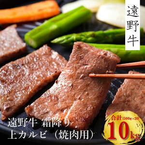 yӂ邳Ɣ[Łz싍 ~  Jr ē p 500g 1kg 2kg 5kg 10kg   Mtg  O a uh Y  蕨 i j  k 茧 s Ė