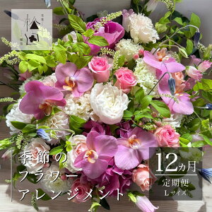 yӂ邳Ɣ[ŁzG  t[ AWg LTCY cԓX   G߂̉ Mtg v[g a CeA j ԑ LO j JXj N ސEj 