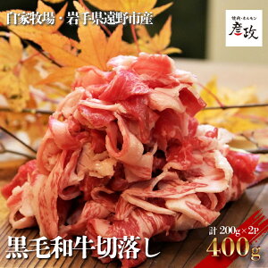 yӂ邳Ɣ[Łz јa ؂藎Ƃ 400g i200g×2pbNj Ⓚ y јa ē z F z ؗ   Mtg v[g  O a  蕨 i j 