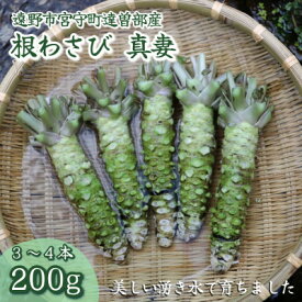 【ふるさと納税】【生産者直送】宮守特産わさび(生) 真妻 200g(3～4本) 岩手県 遠野市 達曽部 薬味 葵食品【配送不可地域：離島】【1332050】