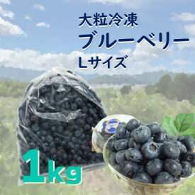 【ふるさと納税】遠野で育った 大粒 冷凍 ブルーベリー Lサイズ 1kg【配送不可地域：離島】【1333274】