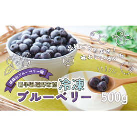 【ふるさと納税】冷凍 ブルーベリー 500g 岩手県遠野市 砥森山ブルーベリー園 栽培期間中農薬不使用 遠野食工房蔵【配送不可地域：離島】【1583526】