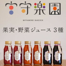 【ふるさと納税】宮守楽園 ジュース 3種 6本 セット / 宮守川上流生産組合 遠野市【1635004】