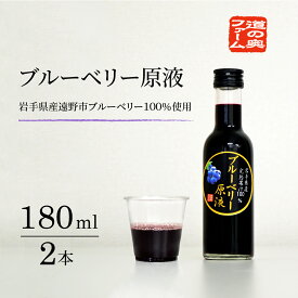 【ふるさと納税】遠野のブルーベリーから絞った原液 180ml 2本 セット 道の奥ファーム 果汁 100% ブルーベリー ストレート ジュース 岩手県 遠野市 栽培中 農薬不使用 砂糖 保存料 無添加 健康 美容 目 視力 抗酸化作用 腸内環境 アントシアニン 朝食 加工食品 送料無料