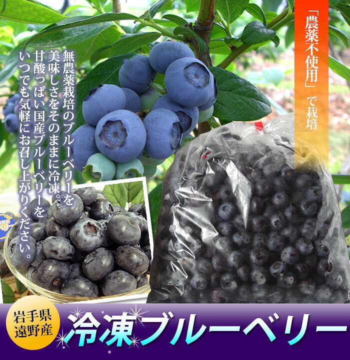 楽天市場】【ふるさと納税】ブルーベリー 冷凍 大粒 Lサイズ 1kg 道の 