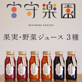 【ふるさと納税】宮守楽園 果物 野菜 ジュース 6本 セット 180ml 3種 ×2本 入り / 贈答 ギフト 詰め合わせ トマト とまと 山ぶどう にんじん 人参 りんご 国産 岩手県 遠野市 宮守町 加工 100% ストレート 野菜 果実 フルーツ 果汁 新鮮 無添加 宮守川上流生産組合 送料無料