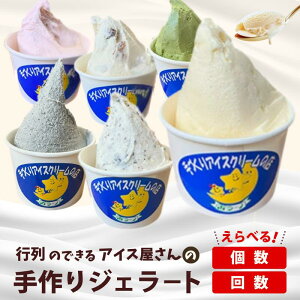 【ふるさと納税】 ジェラート 選べる 8個 12個 セット 定期便( ごま / チョコチップ / バニラ / 宇治金時 / ストロベリー / ラムレーズン / 南部一郎カボチャ ) 自家製 アイス アイスクリーム 手