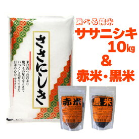 【ふるさと納税】一関市花泉町産 進さんの ササニシキ 10kg ・ 古代米 セット 米