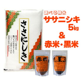 【ふるさと納税】一関市花泉町産 進さんの ササニシキ5kg ・ 古代米セット 米