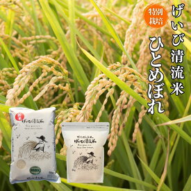 【ふるさと納税】≪令和7年産・新米≫ 特別栽培 ひとめぼれ げいび清流米 【選べる内容量・回数】2kg / 5kg 定期便 3回 / 6回 岩手 お米 いわて コメ 精米 ブランド米 ご飯 白飯 ごはん お弁当 おにぎり 袋 東北 国産 送料無料 岩手県 一関市 頒布会