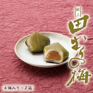 yӂ邳Ɣ[Łzcނ̔~6×2 aَq aXC[c ~ v[g Mtg 蕨