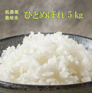 yӂ邳Ɣ[Łzs VĐs\ tu  6 ߘa7NY V _͔| ЂƂ߂ڂ 5kg  ӂ邳Ɣ[  ͂ ٓ ɂ k Y   茧 ֎s