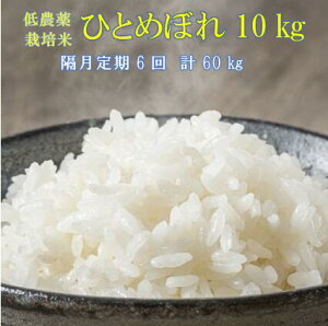 yӂ邳Ɣ[Łzs VĐs\ tu  6 ߘa7NY V _͔| ЂƂ߂ڂ 10kg   ӂ邳Ɣ[  ͂ ٓ ɂ k Y   茧 ֎s