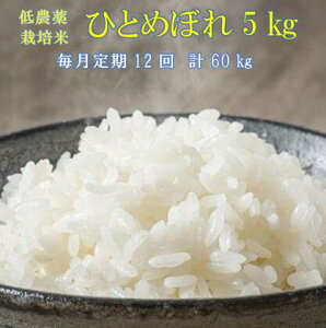 yӂ邳Ɣ[Łzs VĐs\ t 12 ߘa7NY V _͔| ЂƂ߂ڂ 5kg   ӂ邳Ɣ[  ͂ ٓ ɂ k Y   茧 ֎s