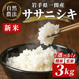 【ふるさと納税】令和7年産 新米 自然農法 ササニシキ 3kg 選べる 玄米 精米 お米 ご飯 米 お試し 小分け 米 コメ 人気 おすすめ お取り寄せ リピート お弁当 弁当 料理 和食 おにぎり おむすび