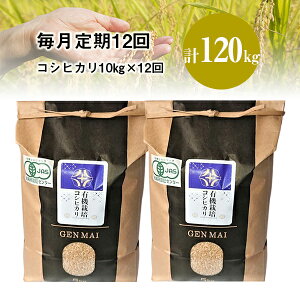 yӂ邳Ɣ[Łzs VĐs\ t 12 ߘa7NY V L@͔| RVqJ 10kg (5kg×2) Iׂ      茧 ֎s