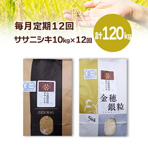 yӂ邳Ɣ[Łzs VĐs\ t 12 ߘa7NY V R_@TTjVL10kg Iׂ      茧 ֎s