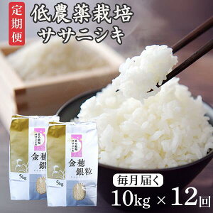 yӂ邳Ɣ[Łzs VĐs\ t 12 ߘa7NY V _͔| TTjVL 10kg   ӂ邳Ɣ[  ͂ ٓ ɂ k Y  茧 ֎s